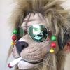 Profile Picture of bobosanti (@bobosanti) on Tiktok
