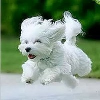 Profile Picture of Rajeev Narayan (@rajeev-narayan-3) on Quora