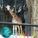 Profile Picture of Keith Liu (@kinhungliu) on Instagram