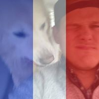 Profile Picture of Neil Clapp (@neil-clapp) on Quora