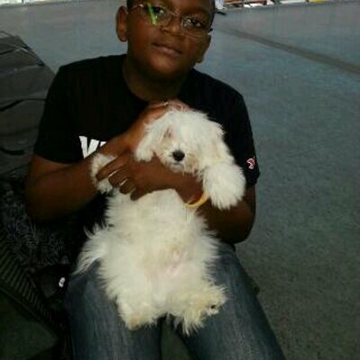 Profile Picture of Douglas Gilles (@gilles_douglas) on Twitter