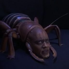 Profile Picture of Trevor's Alt Account (@alt_trevor) on Twitter