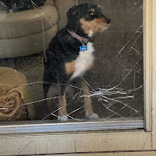 Profile Picture of Everett Patterson (@EverettPatterson-o6z) on Youtube