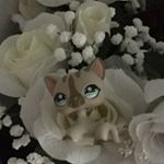 Profile Picture of Diane PILKEY (@snowy_pet_shop) on Instagram