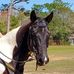 Profile Picture of Dixie Jackson (@dixie.jackson.3382) on Facebook