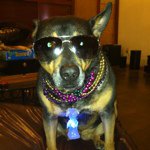 Profile Picture of laura schwalb (@schwalby) on Instagram