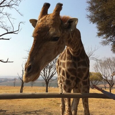 Profile Picture of KB (@KeithBrahms) on Twitter