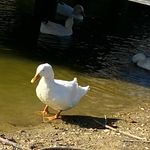 Profile Picture of Connor Craig (@connorcraig63) on Instagram