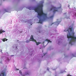 Profile Picture of Beverly Carty (Little) (@Beverly-Carty) on Facebook