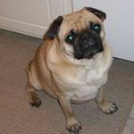 Profile Picture of Crystal Gibson (@crystal.gibson.547) on Instagram