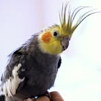 Profile Picture of Michael Dicker (@Michael-Dicker) on Facebook