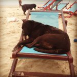 Profile Picture of Daniel Nylander (@keenzo1) on Instagram