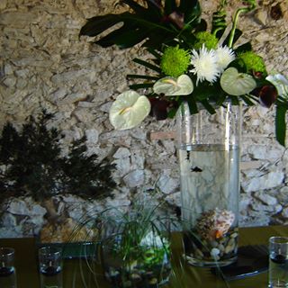 Profile Picture of Dominique Stellato (@lesfleursdelamour) on Facebook