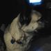 Profile Picture of Fred Springer (@fred.springer.142) on Facebook