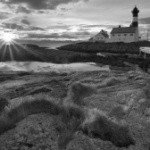 Profile Picture of O'grady (@baxterno51) on Instagram