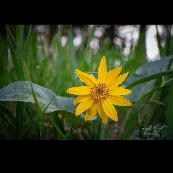 Profile Picture of Kerri Slaney (@kikis2020) on Poshmark