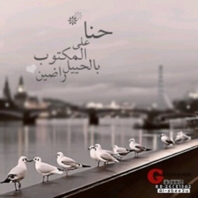 Profile Picture of برنسيسه سمااا (@MyrnaColon14) on Twitter