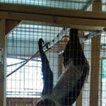 Profile Picture of Victor Howell (@victorjohnhowell) on Instagram