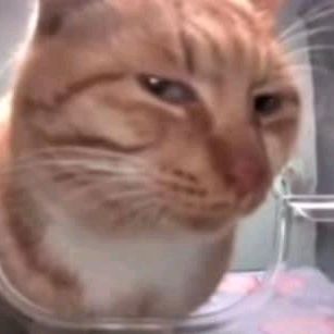 Profile Picture of sachdev (@sachdev_dq) on Tiktok