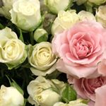 Profile Picture of john dorian (@blablablaaaa.aa) on Instagram