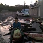 Profile Picture of francois pretorius (@francois_pretorius4) on Instagram