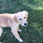 Profile Picture of Kevin Lemme (@lemmekevin) on Instagram