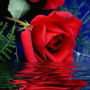 Profile Picture of Yogesh Bhatt (@yogeshbhatt1234) on Twitter