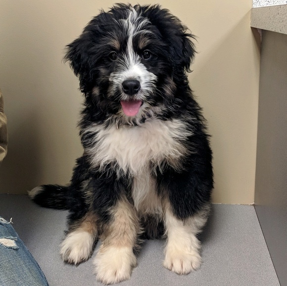 Profile Picture of Brianna Nussbaum (@brinussbaum) on Poshmark