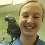 Profile Picture of Sofie Vanwinckel (@adventures_of_a_blonde) on Instagram