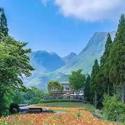 Profile Picture of Ayesha  Shaukat (@AyeshaS82683551) on Twitter