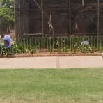 Profile Picture of Devine Mavis (@Devine-Mavis) on Facebook