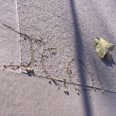 Profile Picture of John Chiarello (@john_ciarello7) on Twitter