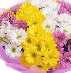 Profile Picture of Leyla Elmas (@Leyla-Elmas) on Facebook