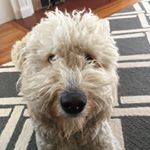 Profile Picture of Tyler👅🔥🔥🔥💥 (@tyler_michael_chiarello) on Instagram