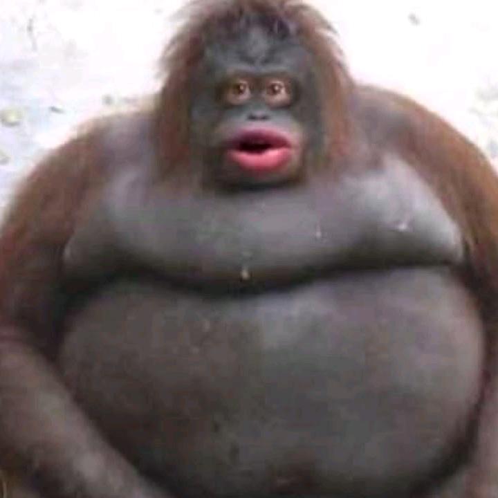 Profile Picture of Grant Boyd (@@suwoo0) on Tiktok