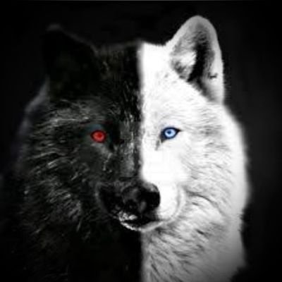 Profile Picture of Jawad Jaber (@JawadJa17032623) on Twitter