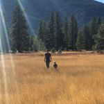 Profile Picture of Denis Cook (@eastinthewest) on Instagram