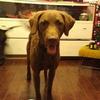 Profile Picture of Joseph Wanek (@@josephwanek1) on Tiktok