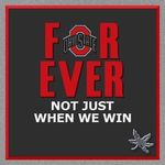 Profile Picture of Steve Stefanidis (@steve_stef) on Instagram