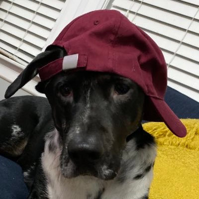 Profile Picture of Kevin Renick (@Kevin_Renick) on Twitter
