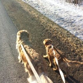 Profile Picture of Jillian Jasinski (@jillian2408) on Pinterest