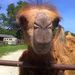 Profile Picture of Jim Lamping (@jrlamping) on Pinterest
