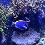 Profile Picture of Mark Munsterman (@Mark-Munsterman) on Facebook