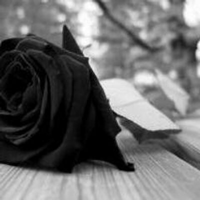 Profile Picture of Brian Cai (@briancai6) on Twitter