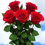 Profile Picture of Jiali Zhang (@Jiali-Zhang) on Facebook