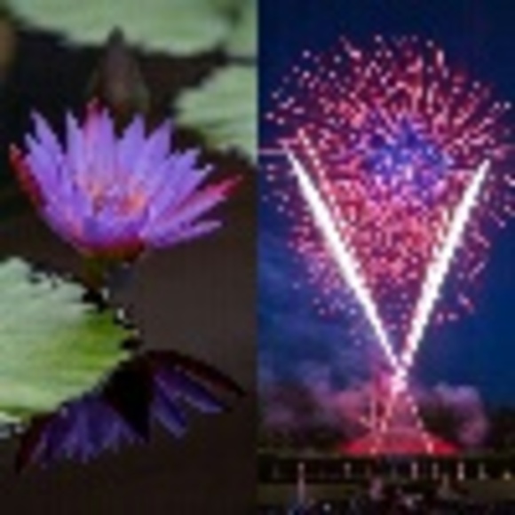 Meagan Griffy - Poshmark Profile Picture of Meagan Griffy (@mgriffy83) on Poshmark