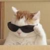 Profile Picture of david (@ovando) on Tiktok