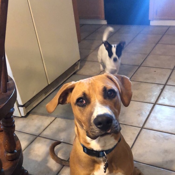 Profile Picture of Nashell Salinas (@nashell31) on Poshmark