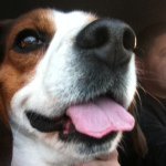 Profile Picture of Mark Griffor (@_thegriff_) on Instagram