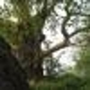 Profile Picture of Janet Robbins (@206934659) on Myspace